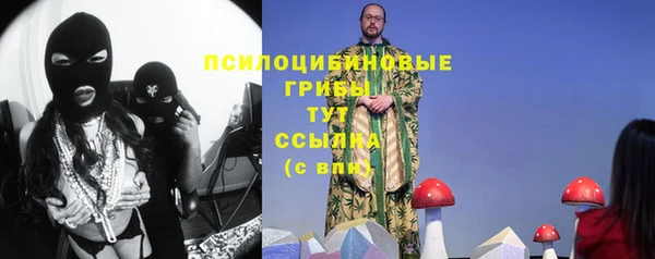 a pvp Алексин