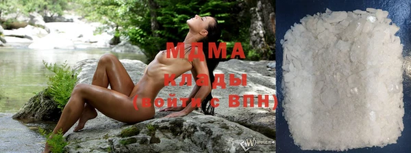 гидропоника Алзамай