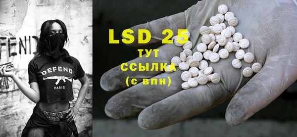 ПСИЛОЦИБИНОВЫЕ ГРИБЫ Алексеевка